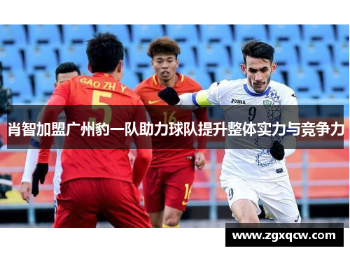 肖智加盟广州豹一队助力球队提升整体实力与竞争力